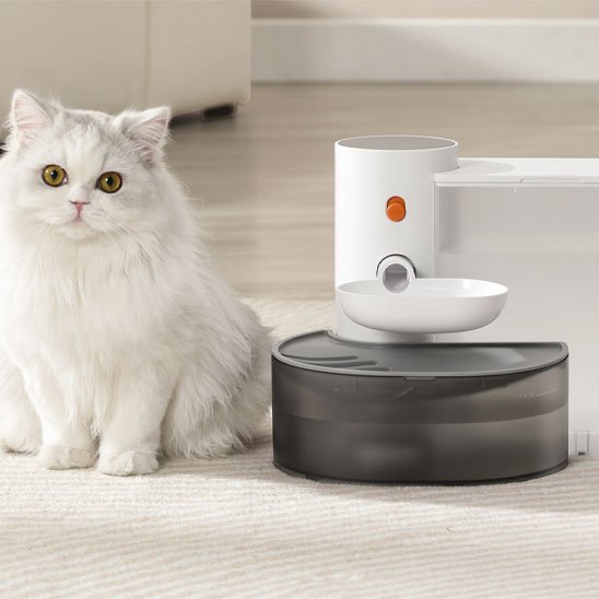 Fontaine à eau pour chat sans fil transparente