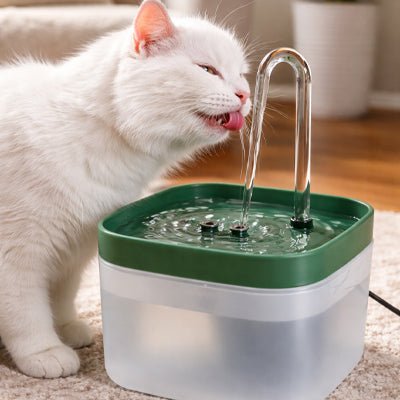 FONTAINE À EAU POUR CHAT | TRANSPARENTE - Leschamour