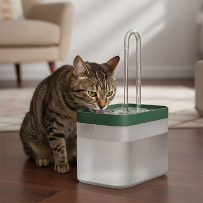 fontaine à eau pour chat vert foncé