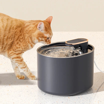 fontaine-à-eau-pour-chat-watercat-bleue