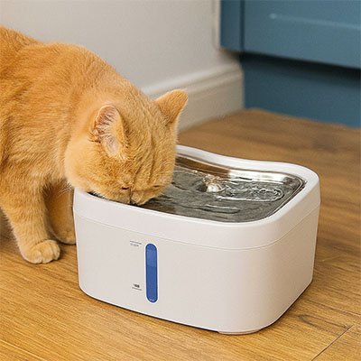 FONTAINE EAU CHAT | 2.5L - Leschamour