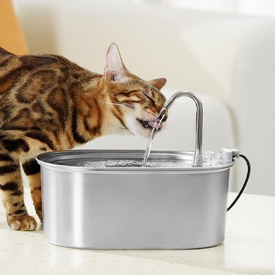 FONTAINE EAU CHAT SILENCIEUSE | EN ACIER INOXYDABLE - Leschamour