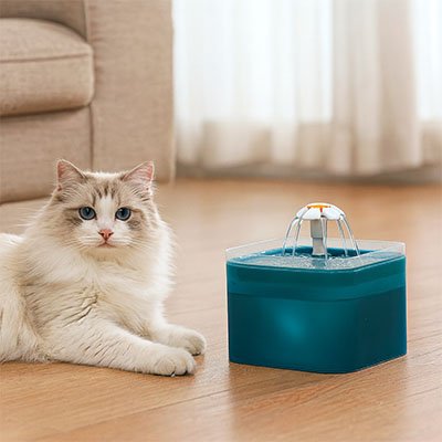 Fontaine eau chat silencieuse