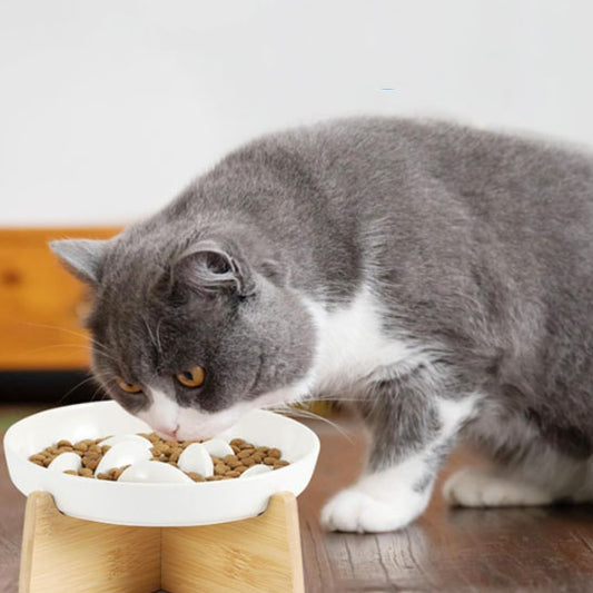 GAMELLE ANTI GLOUTON CHAT | SURÉLEVÉE