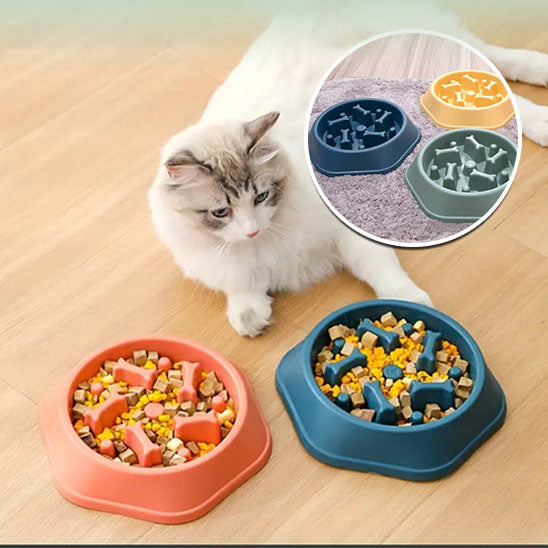 GAMELLE ANTI GLOUTON CHAT | ANTIDÉRAPANTE