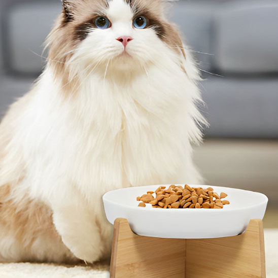 gamelle-anti-glouton-chat-ceramique