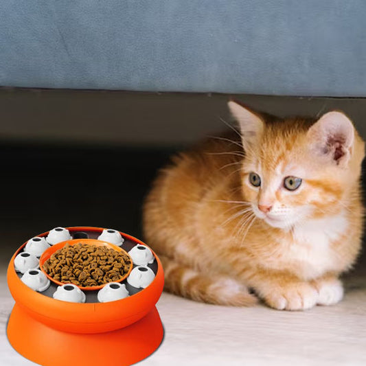 gamelle-anti-glouton-chat-interactive