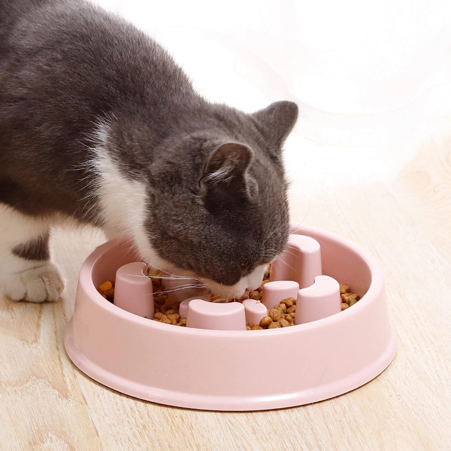 GAMELLE ANTI - GLOUTON CHAT | PUZZLE EN PLASTIQUE - Leschamour