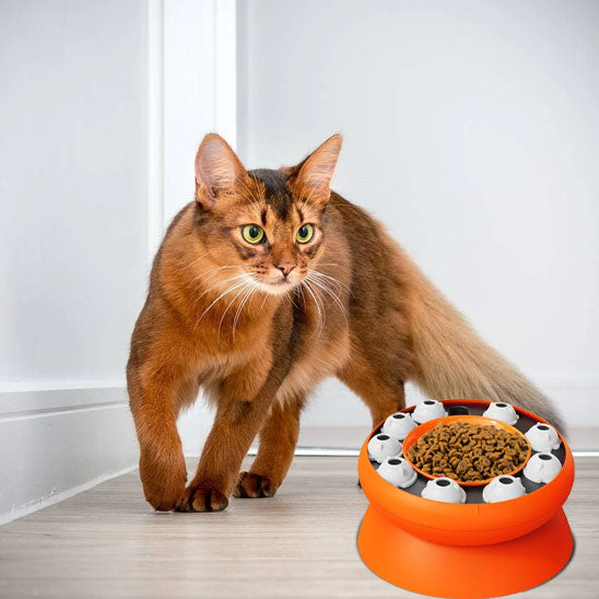 gamelle-anti-glouton-chat-puzzle