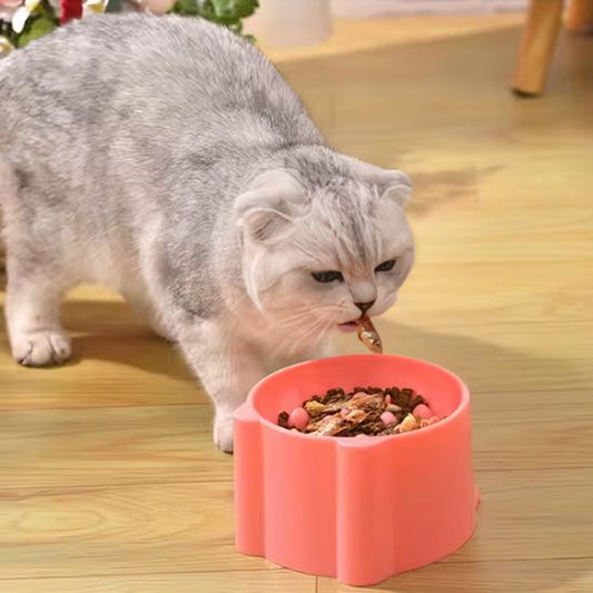 GAMELLE ANTI GLOUTON CHAT | RONDE
