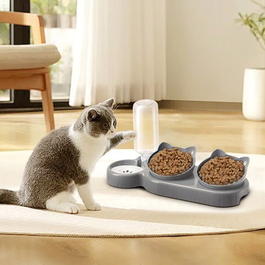 GAMELLE CHAT | 3 EN 1 - Leschamour