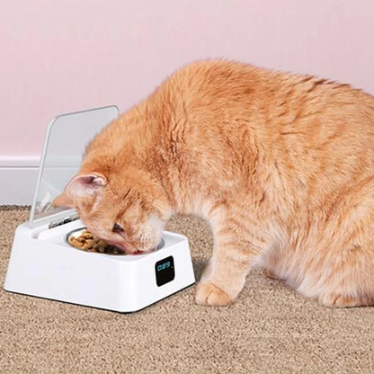gamelle chat automatique acier inoxydable