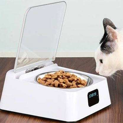 gamelle chat automatique antidérapante