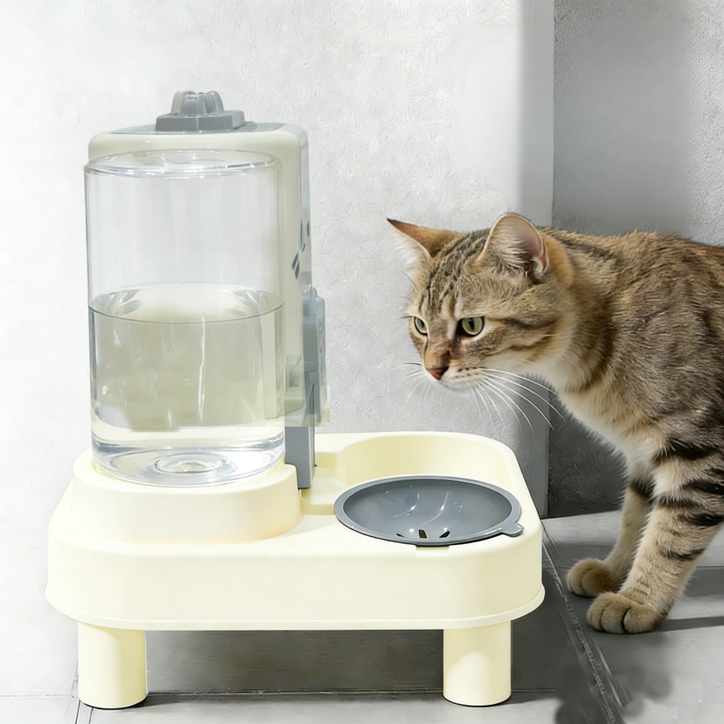 gamelle chat distributeur surélevée gravité