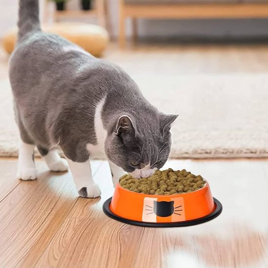 GAMELLE CHAT | EN ACIER INOXYDABLE ET ANTIDERAPANTE - Leschamour