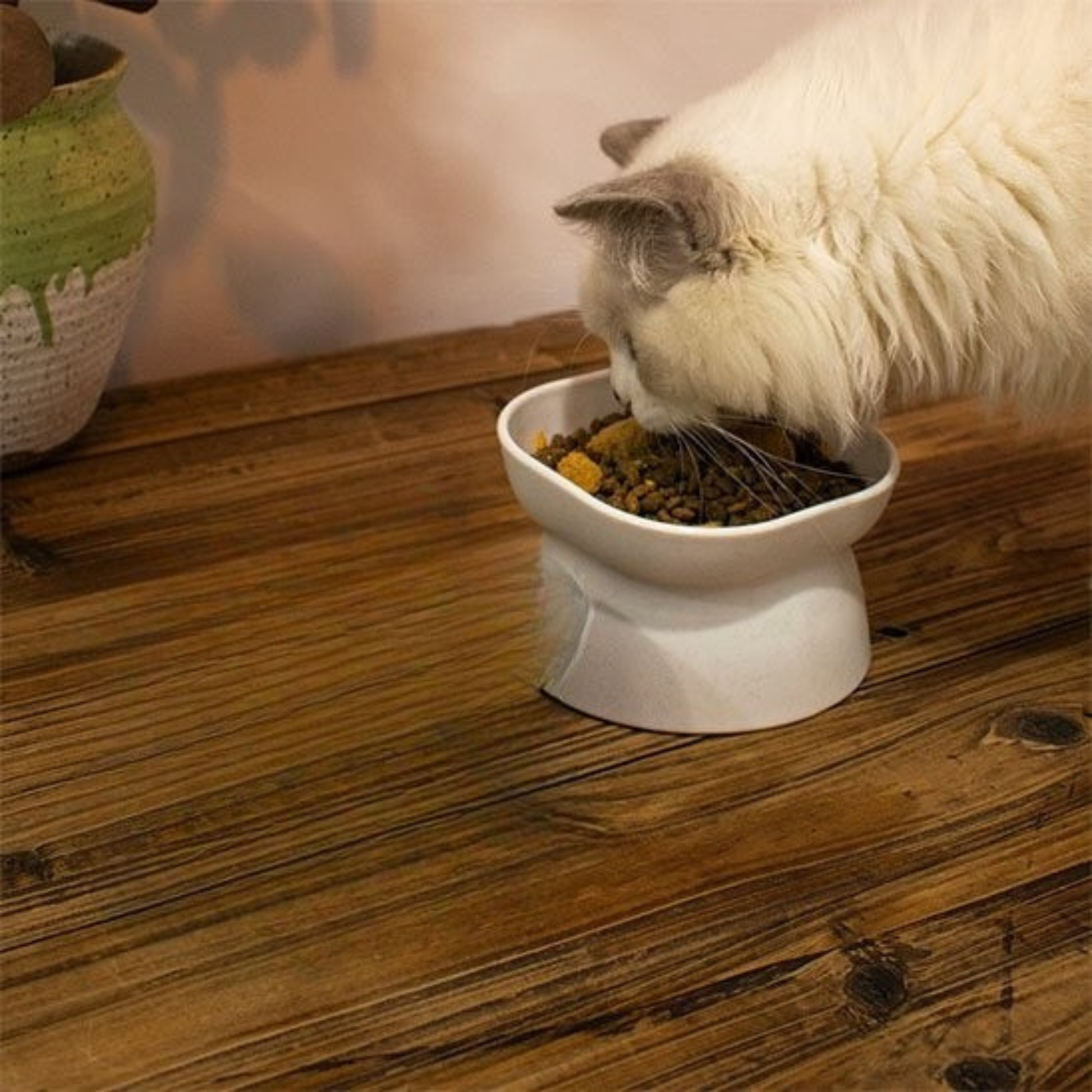 Gamelle chat hauteur blanche
