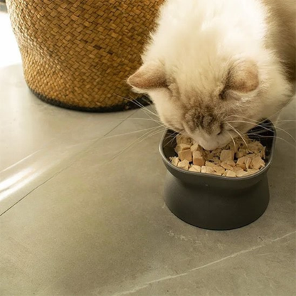 gamelle chat hauteur grise