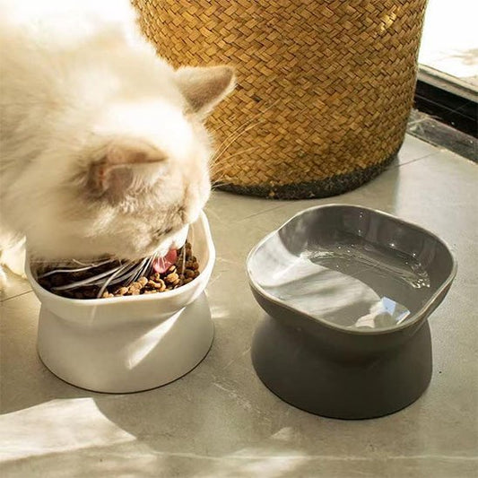 GAMELLE CHAT HAUTEUR | INCLINÉE - Leschamour