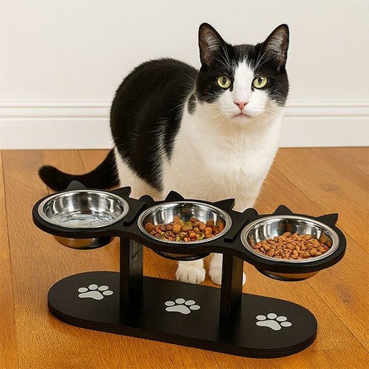 GAMELLE CHAT INCLINÉE | 3 BOLS EN ACIER INOXYDABLE - Leschamour
