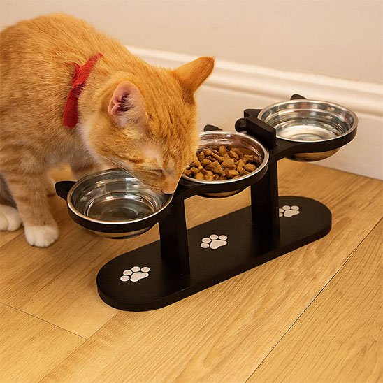 Gamelle chat inclinée antidérapante