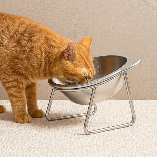 GAMELLE CHAT INCLINÉE | EN ACIER INOXYDABLE - Leschamour