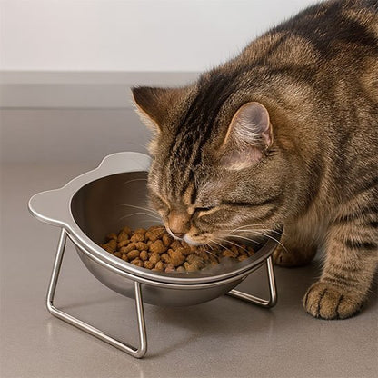 GAMELLE CHAT INCLINÉE | EN ACIER INOXYDABLE - Leschamour
