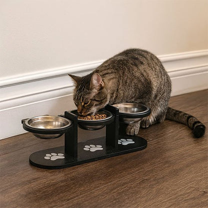 Gamelle chat inclinée ergonomique