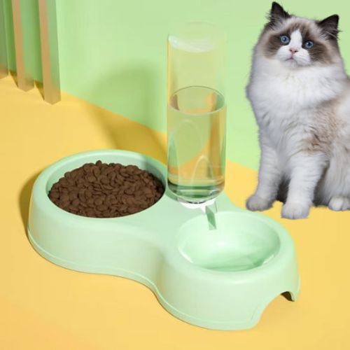 GAMELLE CHAT | NOURRITURE ET EAU - Leschamour