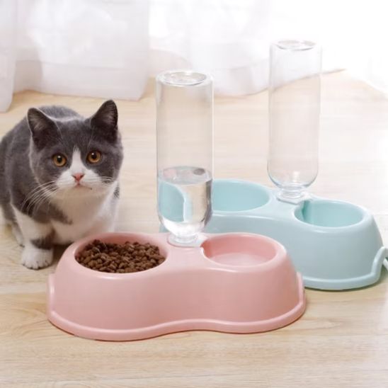 GAMELLE CHAT | NOURRITURE ET EAU - Leschamour