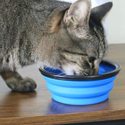 GAMELLE CHAT | PLIABLE ET PORTABLE POUR VOYAGE - Leschamour