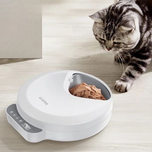 gamelle chat programmable sans fil 4 repas antidérapante