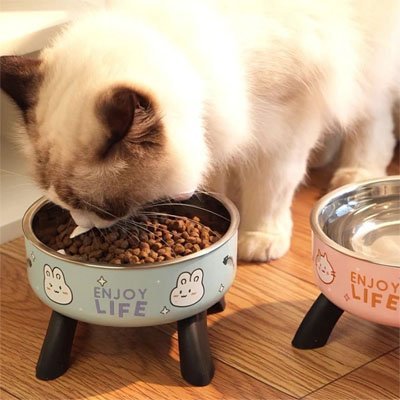 GAMELLE CHAT SURÉLEVÉE | ANTIDÉRAPANTE - Leschamour