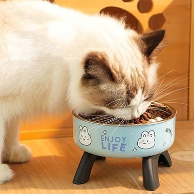 GAMELLE CHAT SURÉLEVÉE | ANTIDÉRAPANTE - Leschamour