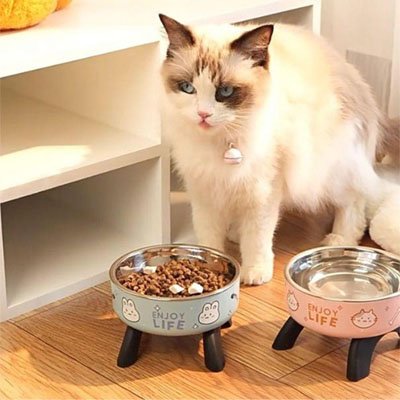 Gamelle chat surélevée antidérapante