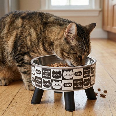 Gamelle ergonomique chat antidérapante
