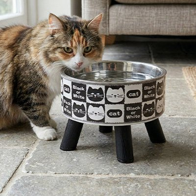 Gamelle ergonomique chat stable