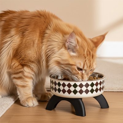 Gamelle haute pour chat damier