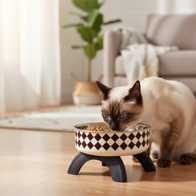 Gamelle haute pour chat ergonomique