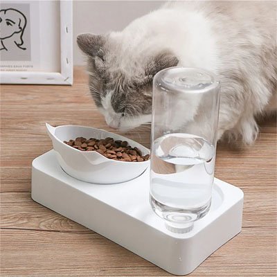 GAMELLE INCLINÉE CHAT | AVEC DISTRIBUTEUR D' EAU - Leschamour