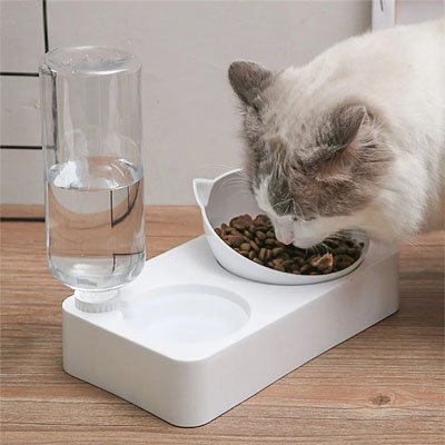 GAMELLE INCLINÉE CHAT | AVEC DISTRIBUTEUR D' EAU - Leschamour