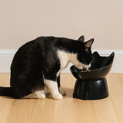 Gamelle inclinée pour chat ergonomique