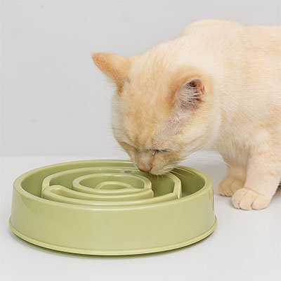 GAMELLE LABYRINTHE CHAT | RONDE - Leschamour