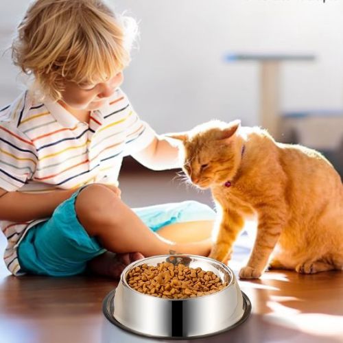 GAMELLE POUR CHAT | EN ACIER INOXYDABLE ET ANTIDÉRAPANTE - Leschamour