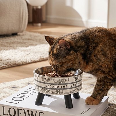 Gamelle pour chat en hauteur antidérapante
