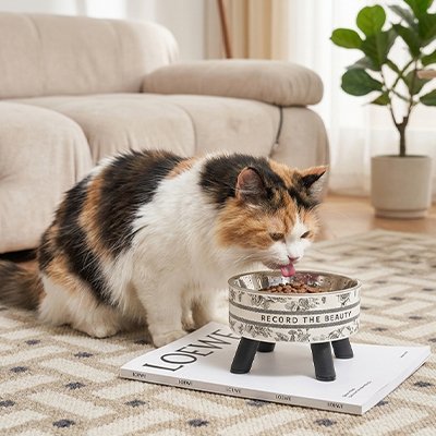 GAMELLE POUR CHAT EN HAUTEUR | EN ACIER INOXYDABLE - Leschamour
