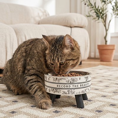 Gamelle pour chat en hauteur noire et blanche