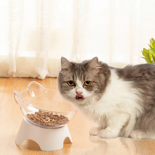 gamelle pour chat inclinée surélevée
