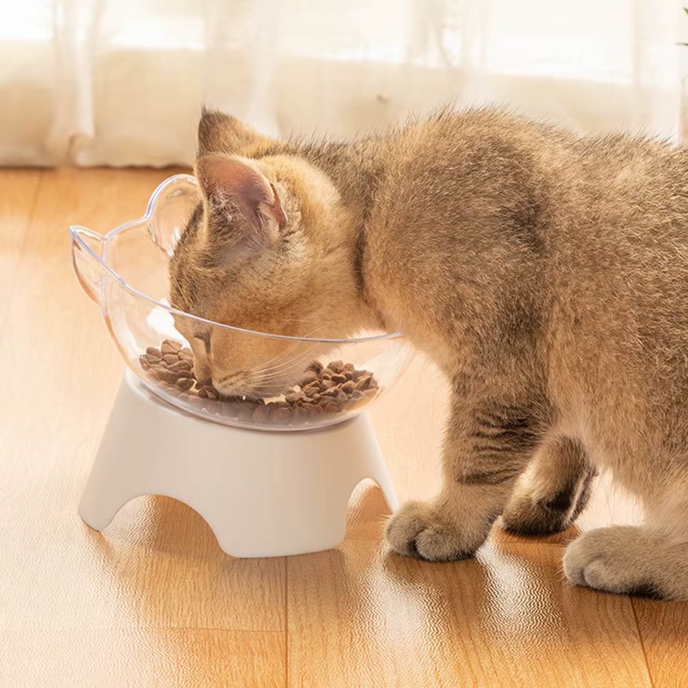 gamelle pour chat inclinée transparente
