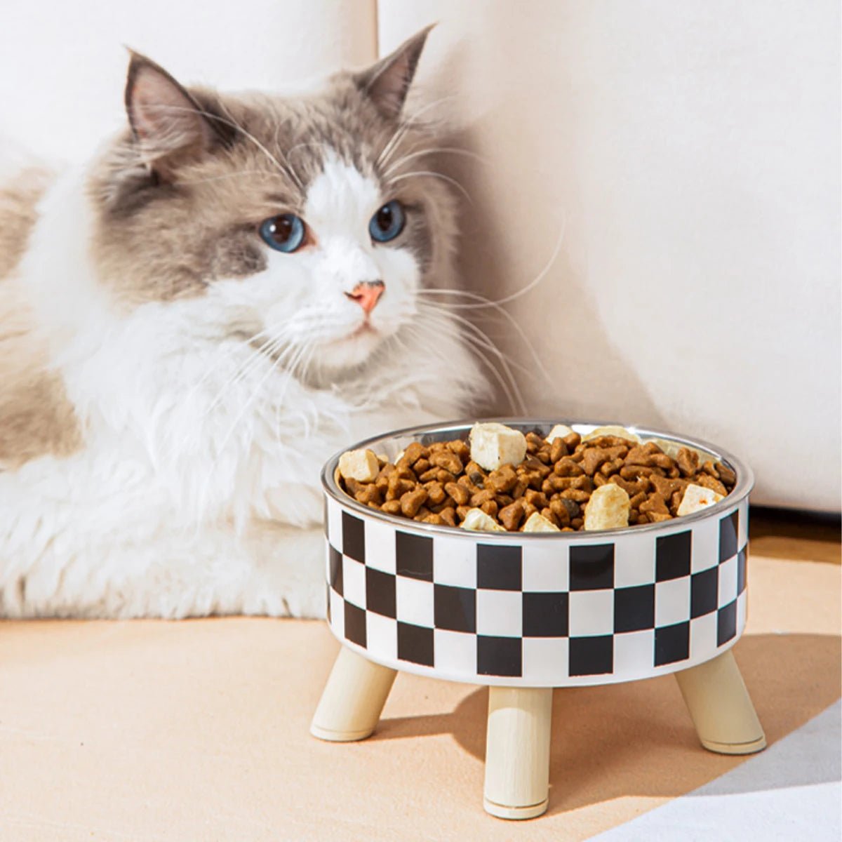 GAMELLE POUR CHAT | SURÉLEVÉE MOTIF DAMIER OU POINTS - Leschamour
