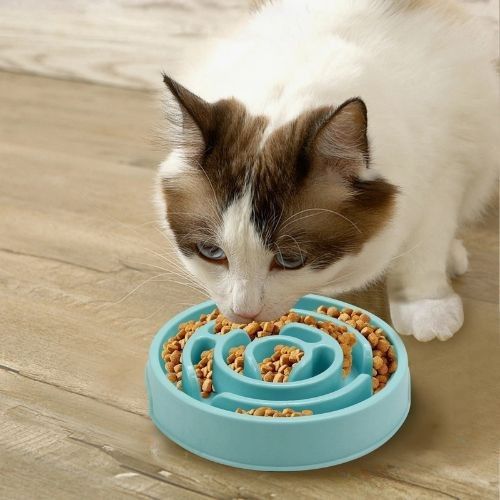 GAMELLES ANTI GLOUTON CHAT | LABYRINTHE - Leschamour